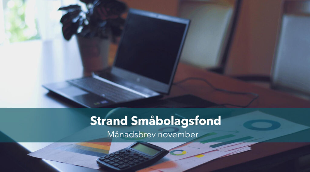 MANADSBREV SMABOLAGSFOND NOVEMBER