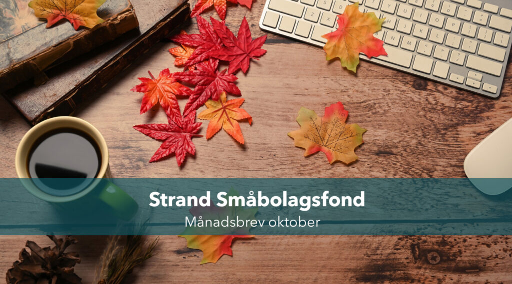 MANADSBREV SMABOLAGSFOND OKTOBER