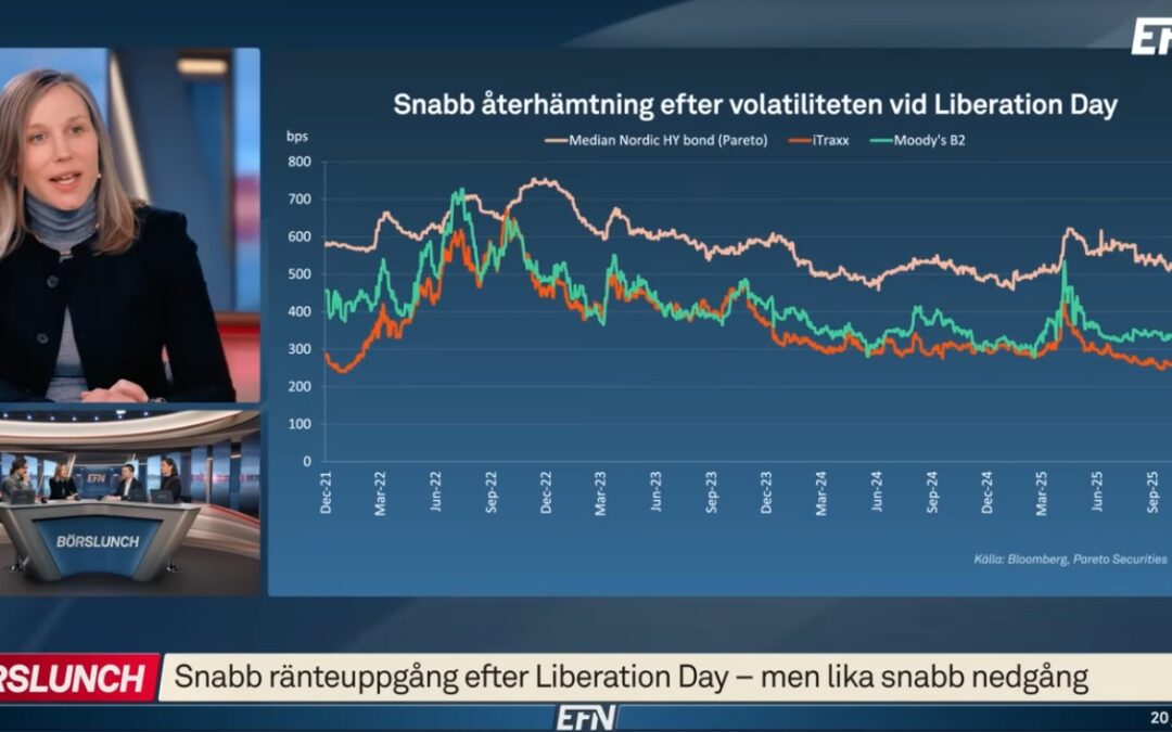 Mari Fors Rhenman i EFN Börslunch