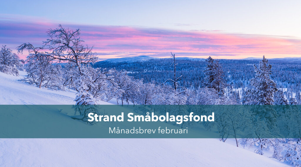 MANADSBREV SMABOLAGSFOND februari 2026