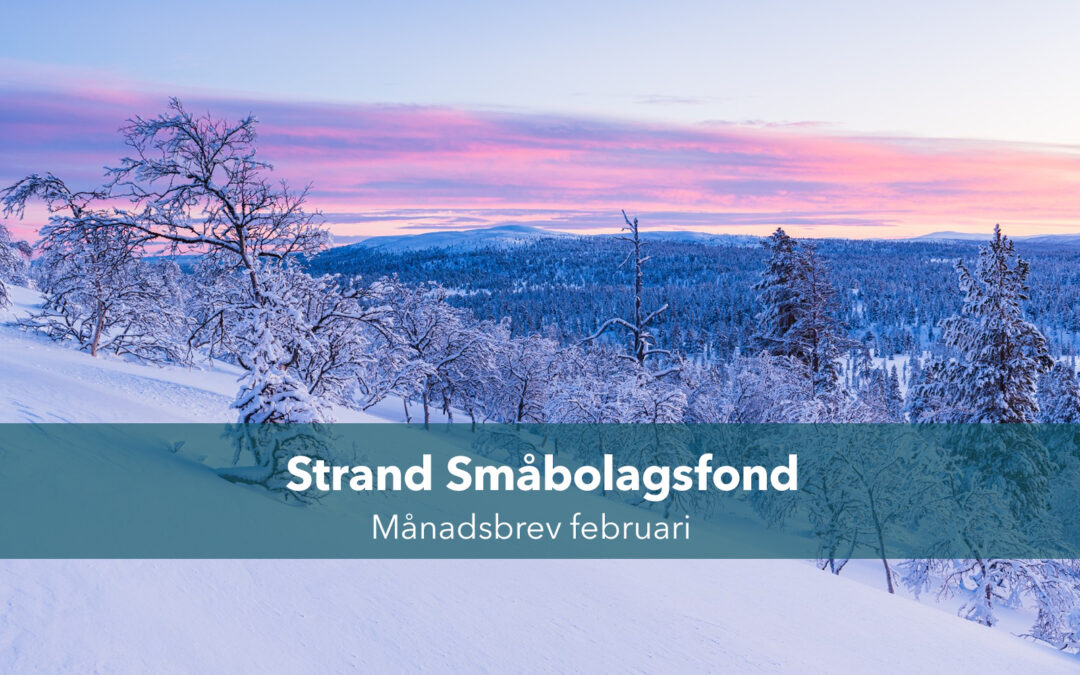 Månadsbrev februari