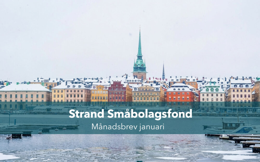 Månadsbrev januari