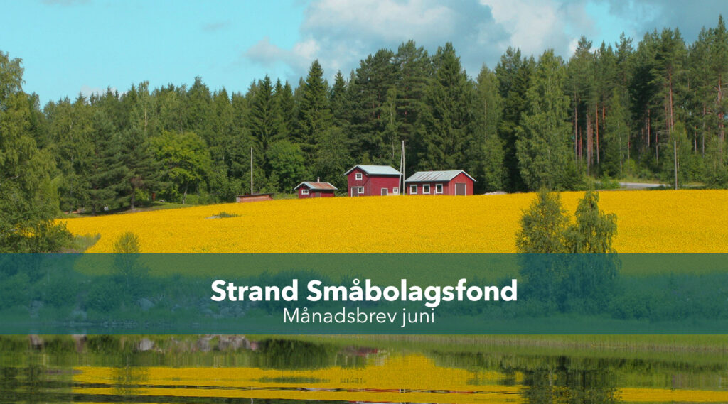 Manadsbrev Smabolagsfond juni 2026