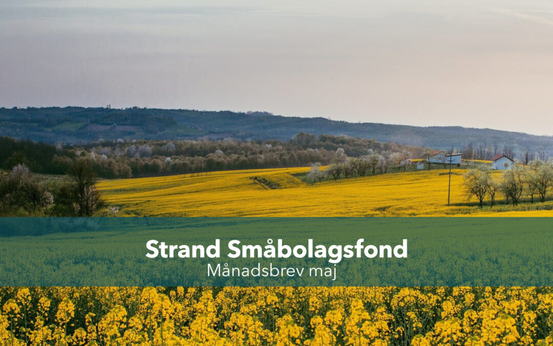 Månadsbrev maj