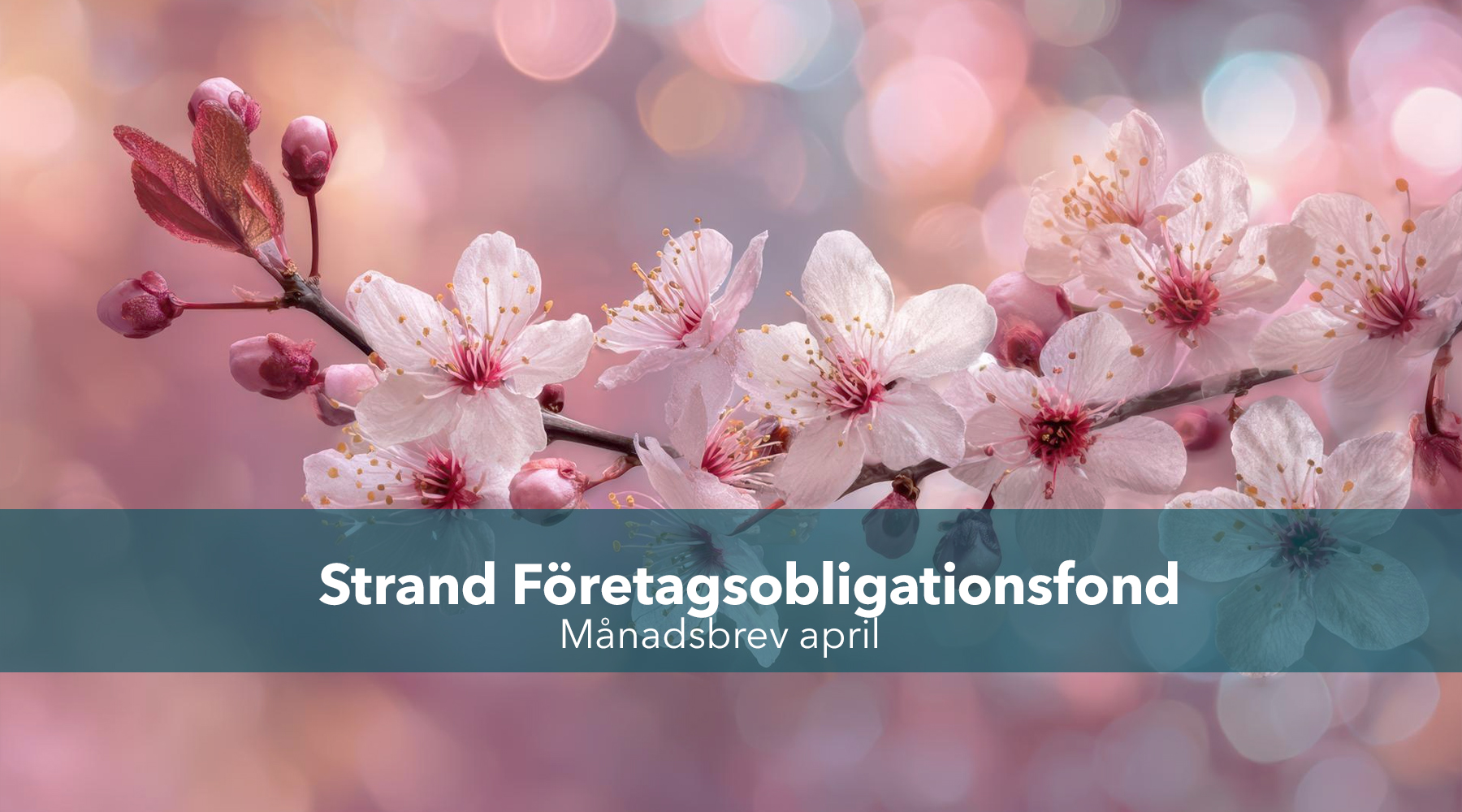 månadsbrev april